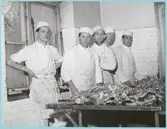 Chakturister Stumholmen