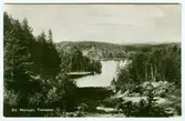 Ed Mörtsjön. Trolldalen