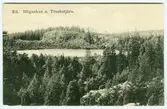 Ed Högankas o. Tössbotjärn