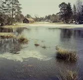 Väne Åsaka, vårflod.
