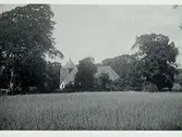 Okänd kyrka i Halland i lummig miljö. Åker i förgrunden.