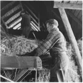 Sundals Ryr, Nyhemmet Bön. Tröskning.