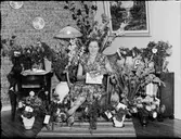 Valborg Wallin, Väddika, Uppland