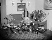 Kvinna i bostadsmiljö omgiven av blommor, Östhammar, Uppland