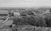 Motiv från Bohuslän ur bildsamlingen efter fotograf Carl Alfred Träff.