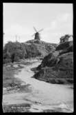 Motiv från Bohuslän ur bildsamlingen efter fotograf Carl Alfred Träff.