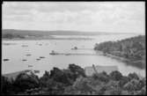 Motiv från Bohuslän ur bildsamlingen efter fotograf Carl Alfred Träff.