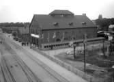 Lantbruksmöte 1931. Kor på utställning. Hamnområdet,större byggnad med baderoll. Malmöhus läns havsfiske förening Sk Lantmännens magasin.