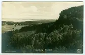 Vänersborg Skytteklef