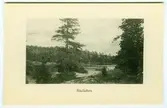 Bäckefors