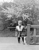 Komministersonen Allan Manneberg