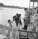 Den 21 april 1961. Gävle Varv. Regalskeppet 