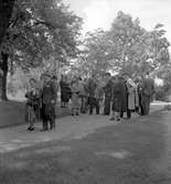 Den 27 augusti 1953. Gävle Varv. Sjösättning av båten M/S Lombardia

