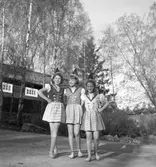 Den 15 maj 1950. Furuviksbarnen





