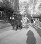 Den 15 maj 1950. Furuviksbarnen





