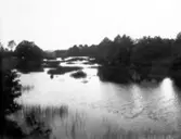 Kvarndammen Snipebro. Mottabo kvarn syns i bakgrunden.