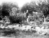 Isidor och Selma Gegerfelt.