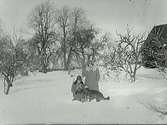 Snöbild. Två kvinnor med en hund i en snöig trädgård med fruktträd och i bakgrunden bikupor (se även E5380).