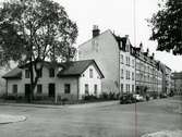 Kvarteret Grönsiskan i Norrköping 1959