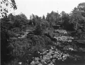 Ugglums bys utmark (byallmänning). Mössebergs Fornborg.