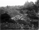 Ugglums bys utmark (byallmänning). Mössebergs Fornborg.