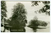 Parasollholmen Baldersnäs