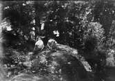 Två kråkor på sten i skogen