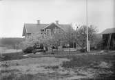 Svensgården, blommande fruktträd och flaggstång framför huset, Leksand, Dalarna
