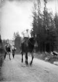 Man rider på häst på skogsväg och två män promenerar efter, sannolikt i Sverige