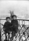 Två små pojkar, vinterklädda, står på balkong, sannolikt i Sverige