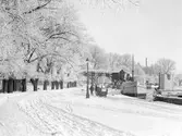 Vinterbild från Nykvarn i Linköping.