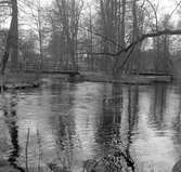 Den 18 maj 1965. Stadsträdgården