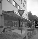 Max Eriksson, Bilfirma