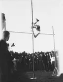 Stavhoppare i Malung