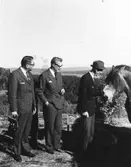 Rolf Edberg i mitten