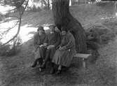 Tre personer på en bänk under ett stort träd.