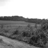 Herrestad socken. Fröland. Stenåldersboplats 21a och b. Sedd från sydväst.