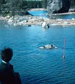 St Olofsstenen vid Eskön är ett tio meter högt flyttblock som sägs ha fått namnet efter Olof Haraldsson, Norges skyddshelgon.