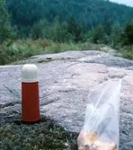 Fika i Söderåsen, Torsåker