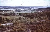 1961. Miljöbild före byggnationen av bostäder på Söbacken och Kopper.