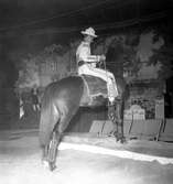 Furuviksparken invigdes 1936

1950 var ett år då Furuviksparken investerade kraftigt.

Cirkus
Cowboy på häst















