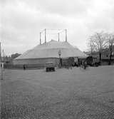 Gävle
Cirkusen har kommit till stan!
Ungdomscirkusen från Furuvik 