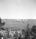 Furuskär

Furuviksparken invigdes pingstdagen 1936.

Segelbåtstävling












