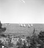 Furuskär

Furuviksparken invigdes pingstdagen 1936.

Segelbåtstävling












