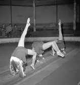 Furuviksparken invigdes pingstdagen 1936.

Cirkusbyggnaden Teater-Cirkus med cirka 600 platser, uppförd 1940.










