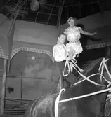 Furuviksparken invigdes pingstdagen 1936.

Cirkusbyggnaden Teater-Cirkus med cirka 600 platser, uppförd 1940.










