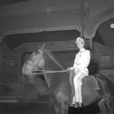 Furuviksparken invigdes pingstdagen 1936.

Cirkusbyggnaden Teater-Cirkus med cirka 600 platser, uppförd 1940.










