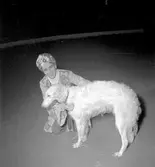 Furuviksparken invigdes pingstdagen 1936.

Även hundar får vara med på cirkus









