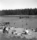 Furuviksparken invigdes pingstdagen 1936.

Nöjesfältet, badplatsen Sandvik och djurparken gjordes i ordning.

Badplatsen Sandvik

