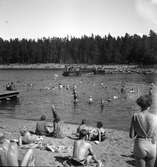 Furuviksparken invigdes pingstdagen 1936.

Nöjesfältet, badplatsen Sandvik och djurparken gjordes i ordning.

Badplatsen Sandvik

